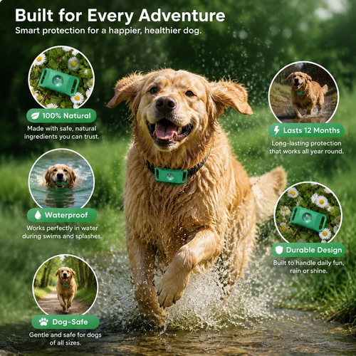 VelPaws™ 12 Months Flea And Tick Tags